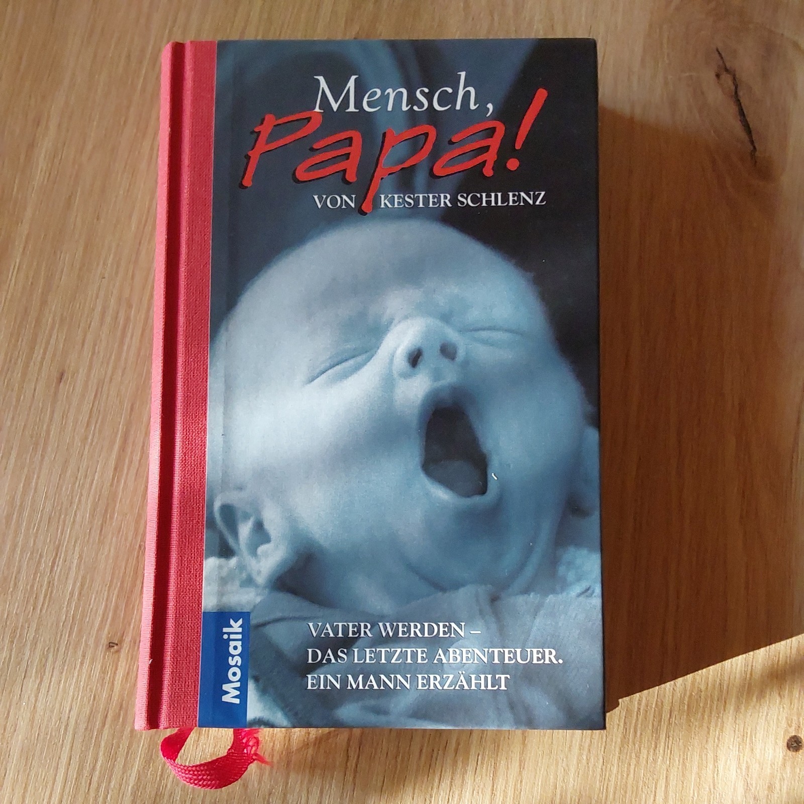 Mensch, Papa ! - Vater werden das letzte Abenteuer - Baby Geburt - sehr gut
