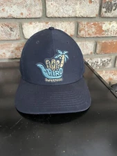 Laird Superfood Hang Ten Snapback Hat / Cap