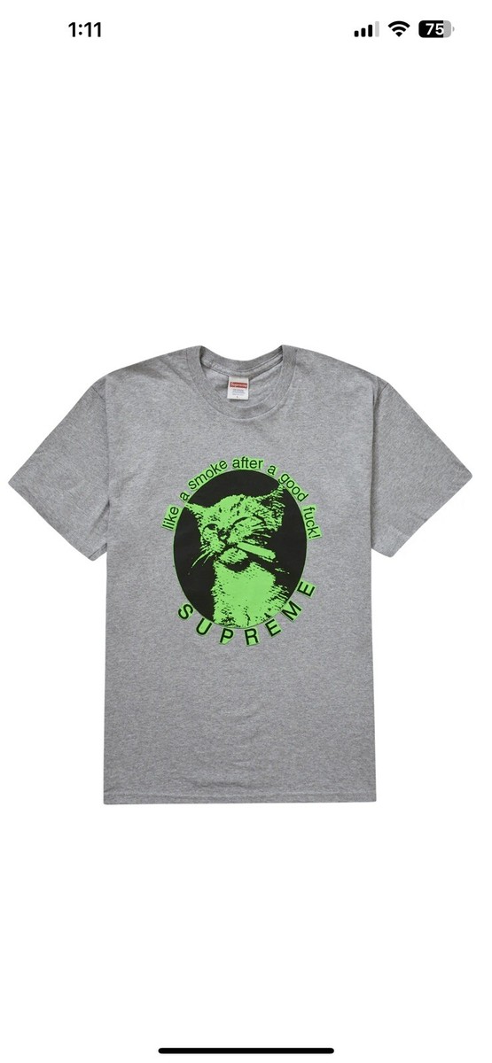 SUPREME SMOKE TEE HEATHER GREY SIZE LARGE/SS23 WEEK 1 (100 SUPREME SMOKE TEE HEATHER GREY SIZE LARGE/SS23 WEEK 1 (100