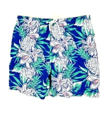 Boardies Men's Swim Shorts Multicolor Size XL 00693