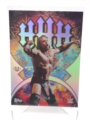 Namesakes Triple H Topps Universe WWE