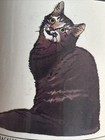 Brown Mackerel Tabby Siberian Cat Mug Houston Harvest Gift Co. White 3.5” Tall