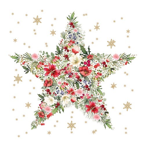 20 Servietten Beautiful Christmas Star Festlich Natur Stern Weihnachten 33X33Cm-image