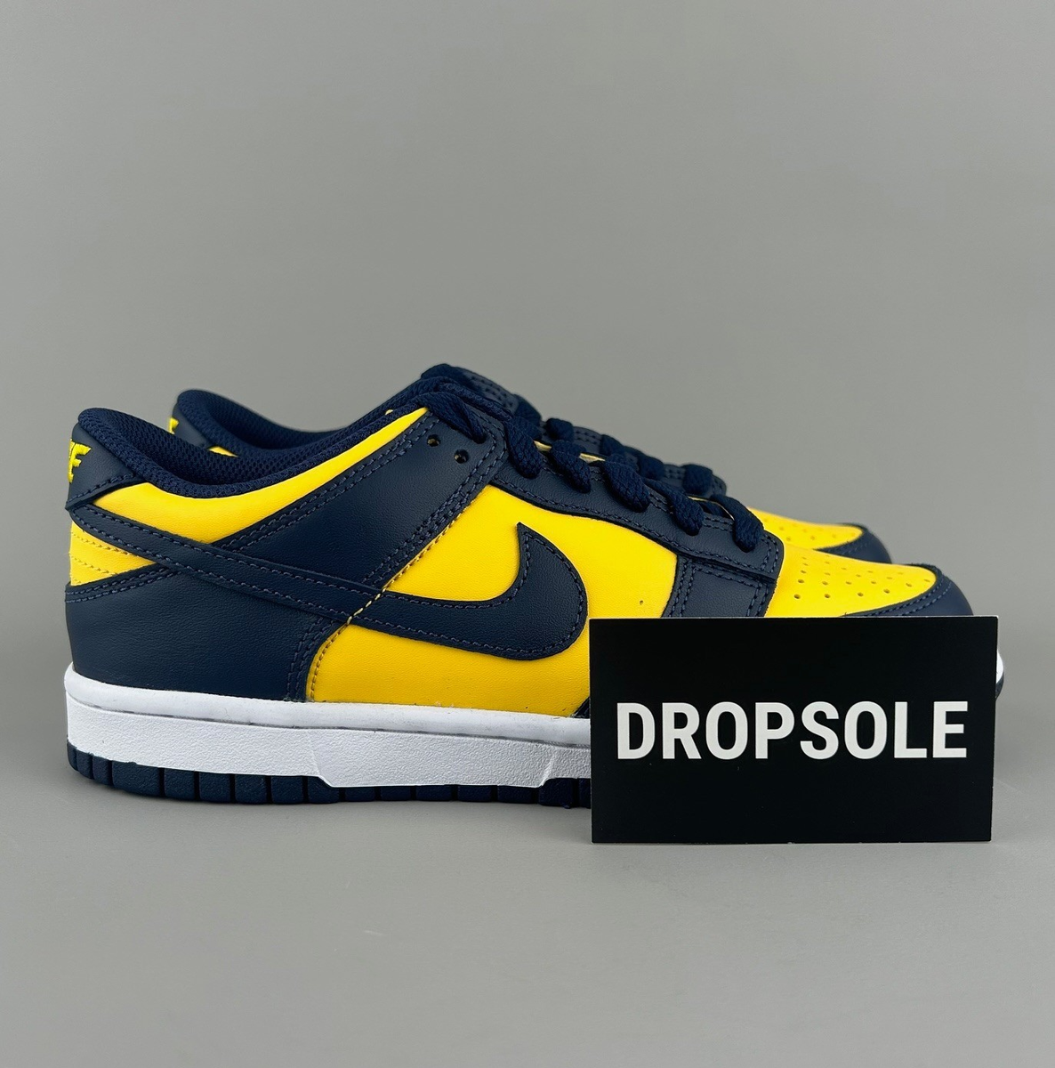 Nike Dunk Low Michigan | Size 5 GS | Blue / Yellow | CW1590