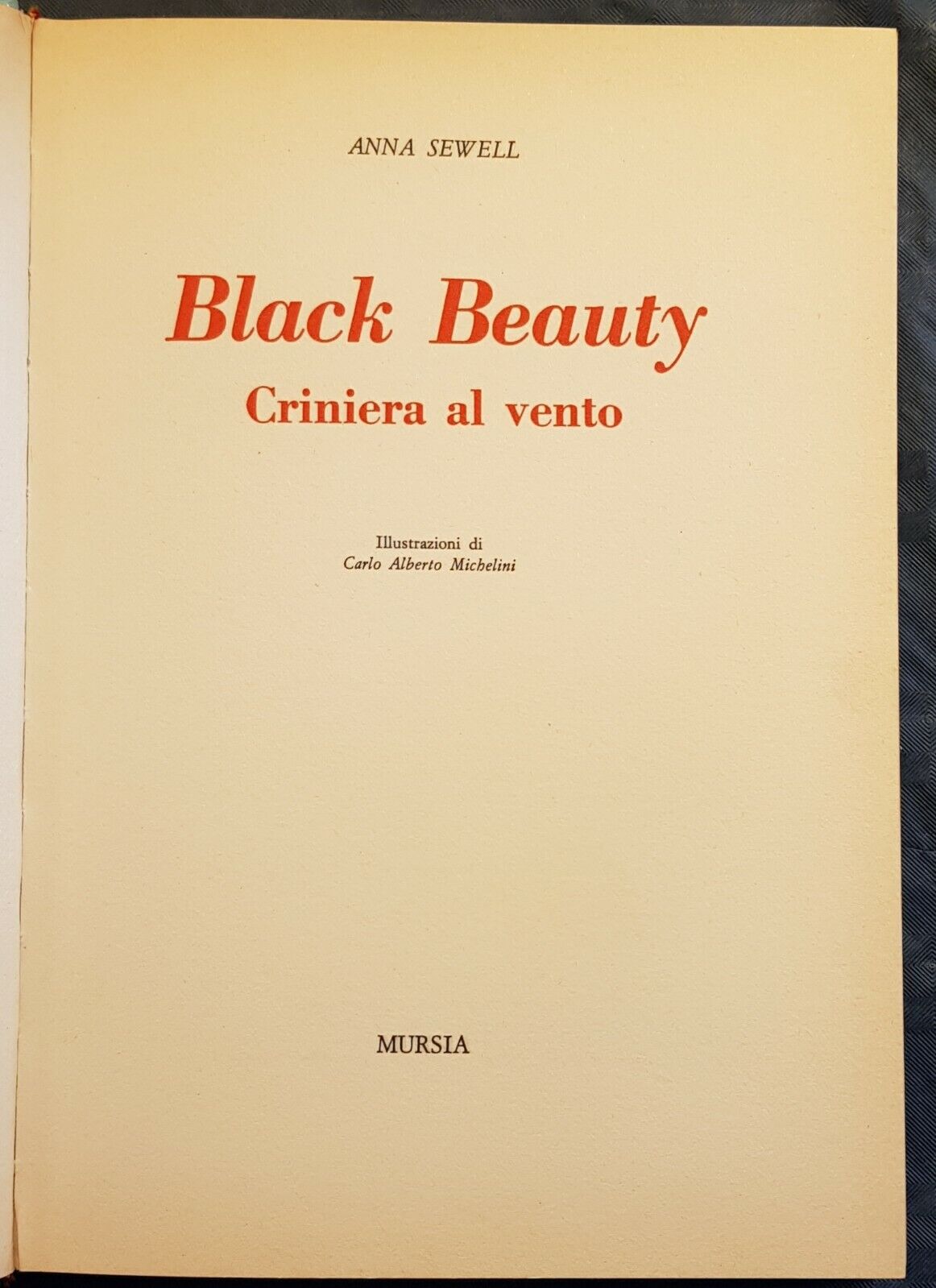Foto 5 di 12