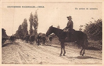 Chile - Costumbres Nacionales - Un arriero de animales