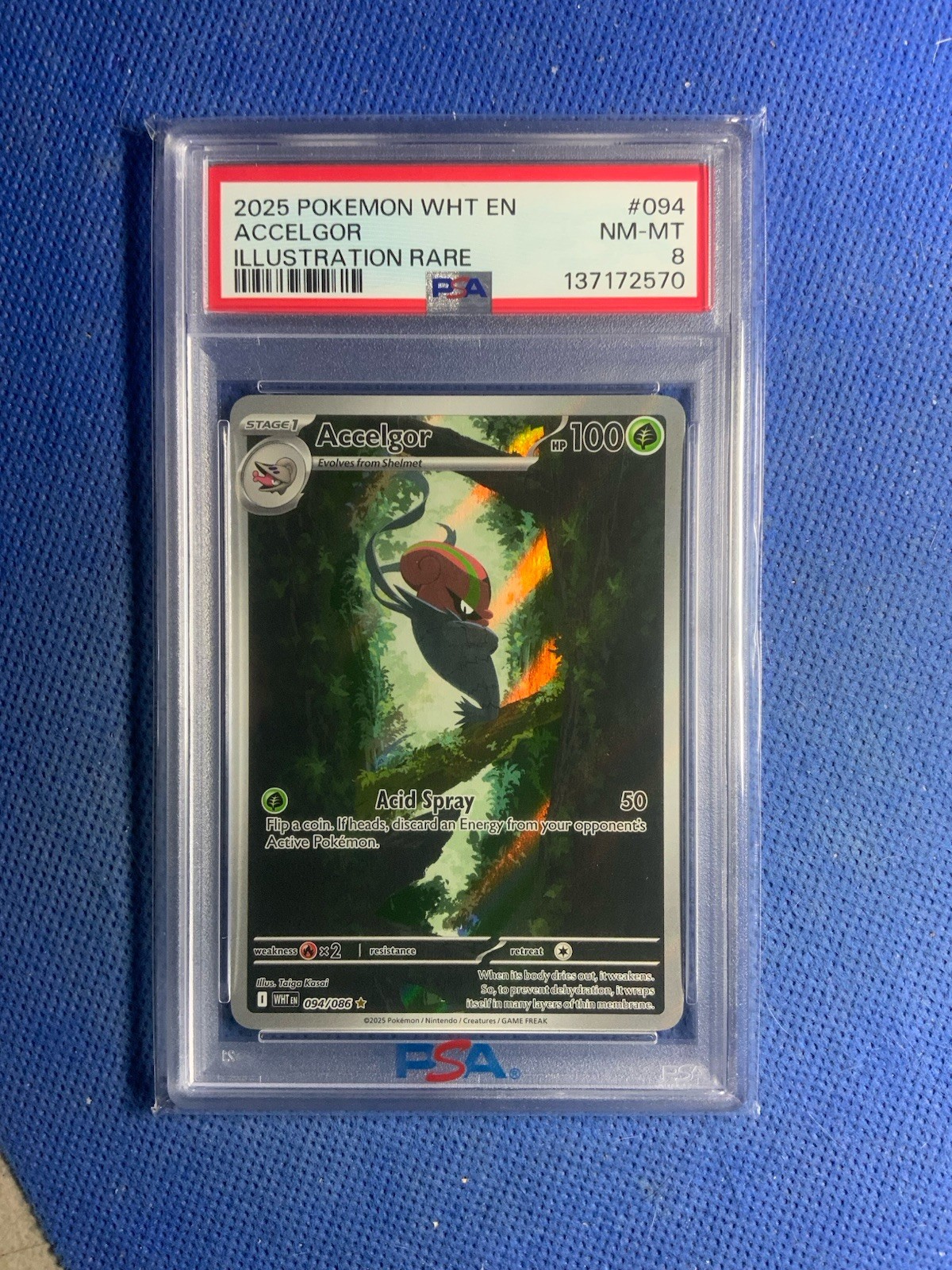 2025 POKEMON WHT EN-WHITE FLARE 094 ACCELGOR ILLUSTRATION RARE PSA 8