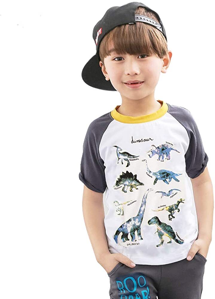 dinosaur shirt 2t