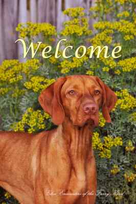 Vizsla Close Encounters of the Furry Kind Welcome Flag