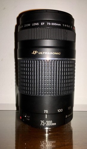 Canon Obbiettivo Zoom Ef 75 300 Mm F 4 5 6 Iii Usm Ebay