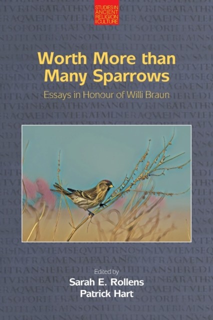 Worth More Than Many Sparrows by B01 (Paperback Book) - Image 2
