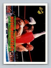 1990 Classic WWF Wrestling Bushwhackers Butch and Luke #47 