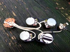 Custom SG Harness 3 Pickups 6 way Rotary Switch Bourns 500k .033 PIO   