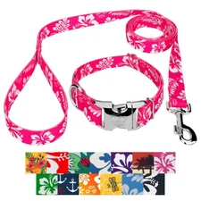 Country Brook Petz® Premium Dog Collar and Leash - Summer Breeze Collection