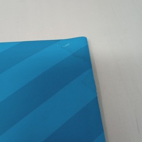 Stellar-Fire (Sega CD) Disc, Case, Manual, Foam, & Registration Card