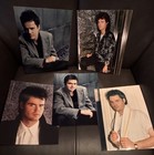 Donny Osmond - Fifteen 8x10 Glossy Photos - Mint Condition — photo 1