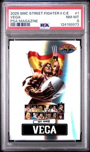 Street Fighter Magazine | eBay