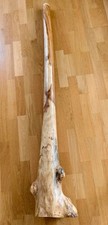Didgeridoo Eukalyptus Grundton E 150 cm Holzmundstück