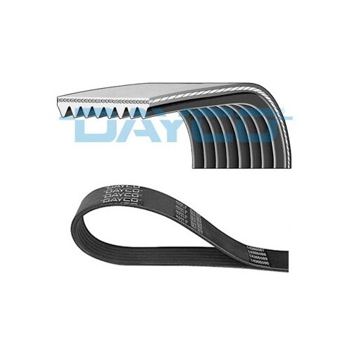 BLUE PRINT Courroie Trapézoïdale à Nervures Pour CITROËN PEUGEOT MINI