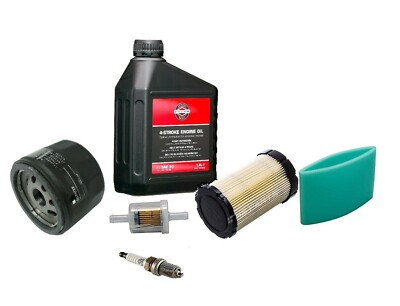 Wartungsset Briggs & Stratton Rasentraktor Luftfilter  SAE30 Ölfiter Serie 21
