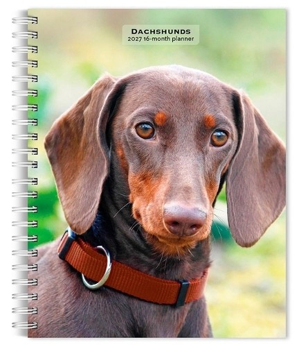 Dachshunds 2027 Engagement by Browntrout (Calendar) - Image 3