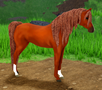Wild Horse Islands Roblox Sandstone Chestnut Arabian IUH | eBay