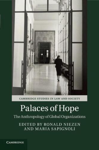 Palaces of Hope: The Anthropology of Global Organizations by Ronald Niezen (Engl - Picture 1 of 1