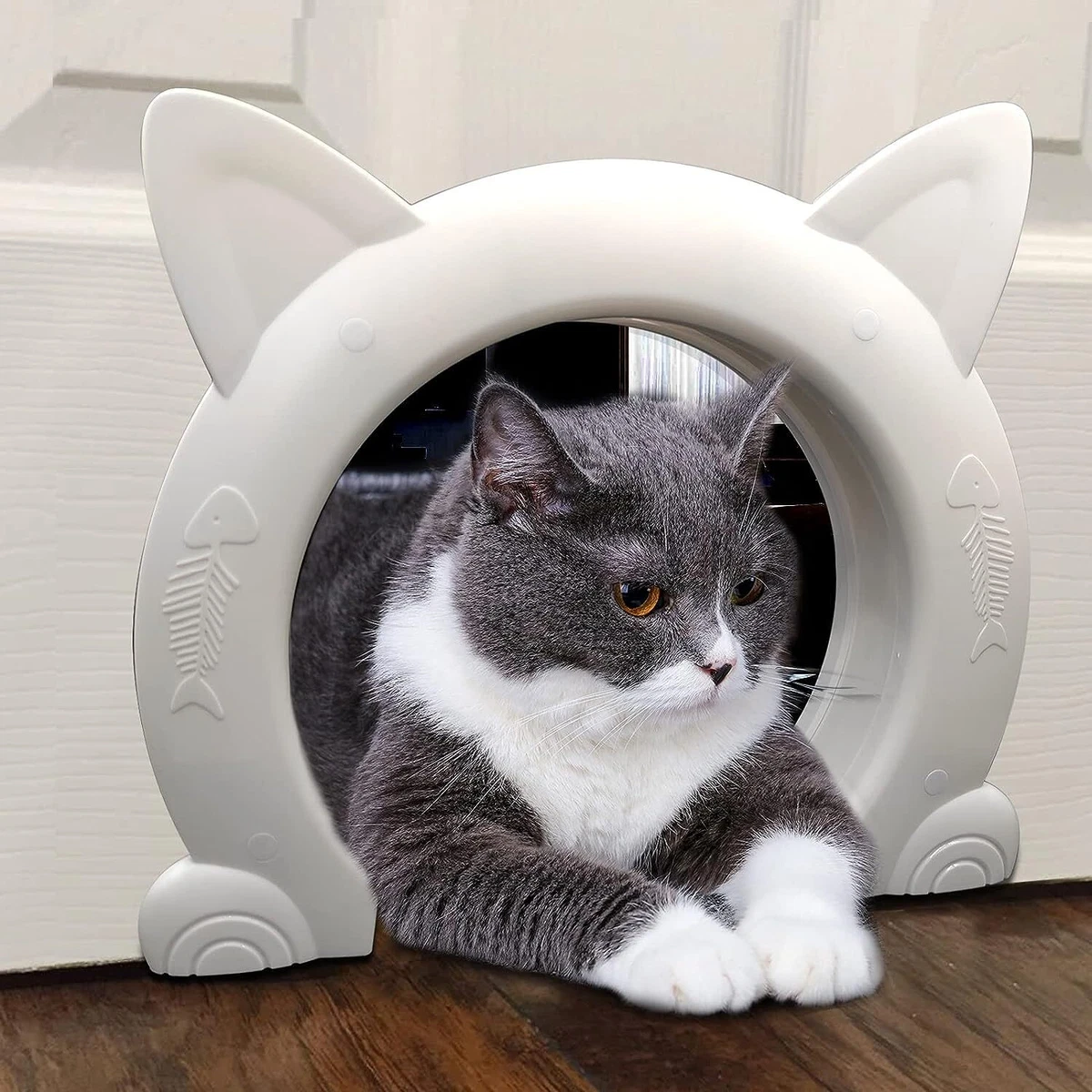 Medium hotsell cat door