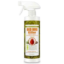 EcoRaider Natural Bed Bug/Dust Mite Killer Spray 480ml, Fast Eradication - US