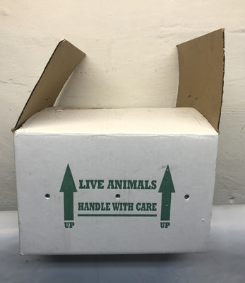 7 11 styrofoam cooler