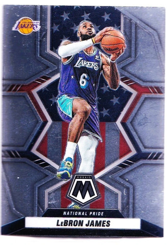 LeBron James #246 card