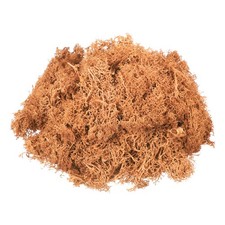 3oz Preserved Reindeer Moss, Orange Decorative Artificial Fake Moss