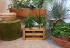 SMALL VINTAGE WOODEN CRATE/PLANT HOLDER