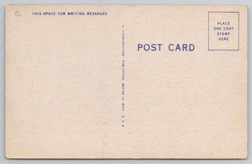 Postcard Comic Card Dog Humor Vintage Funny - Picture 2 of 2