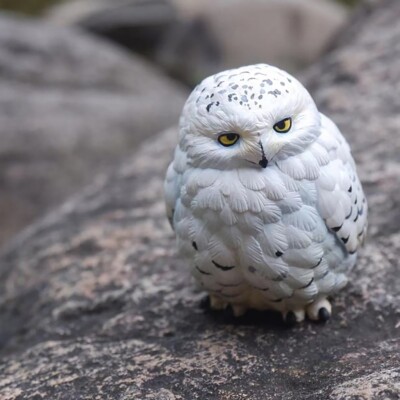 Animal Heavenly Body Snowy Owl Bubo scandiaca Bird Collecitble