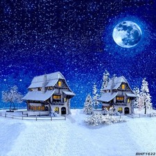 10'x10' Computer-painted CP Outdoor Season Scenic background backdrop BHF1622