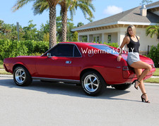 SUPER HOT BUSTY LEGGY Car Babe & 1969 AMC AMX "Pin-UP" PHOTO! #(953)