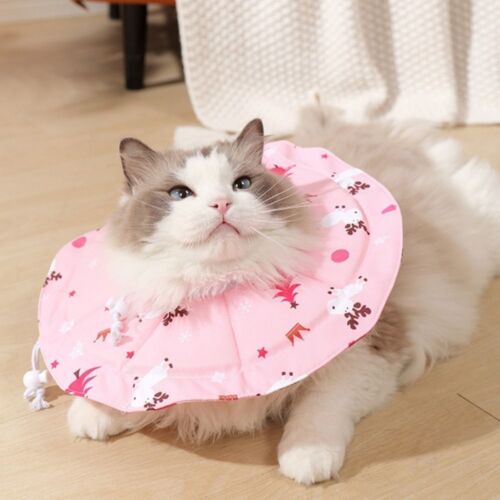 Adjustable Cat Protection Collar Pet Cone Collar for Cats Kitten - Picture 3 of 13