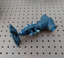 FLOWSERVE SW2821 A105 GATE VALVE 1/4" 1975 PSI CLASS 800 45610-2 R04