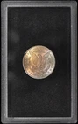 1884-CC Morgan Silver Dollar $1 GSA Hoard -Very Choice BU -Nicely Toned Reverse!