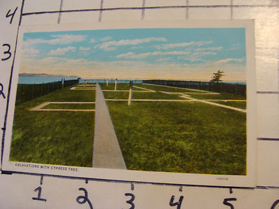  Unused Postcard: Jamestown, EXCAVATIONS with CYPRESS TREE