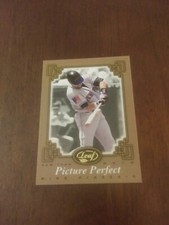 2004 Leaf Picture Perfect Mike Piazza