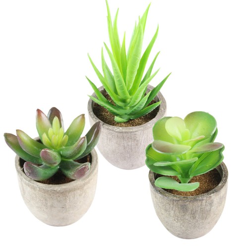 3 Stück Simulation Sukkulenten Bonsai Schreibtisch Deko kleine Kunstpflanzen - Bild 7 von 11