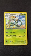 ERROR BORDER Serperior 5/114 Black and White Cracked Ice Holo Mint Pokemon TCG