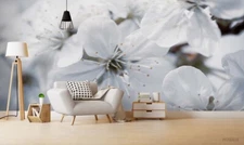 3D White Floral Wallpaper Wall Mural Removable Self-adhesive Sticker 561