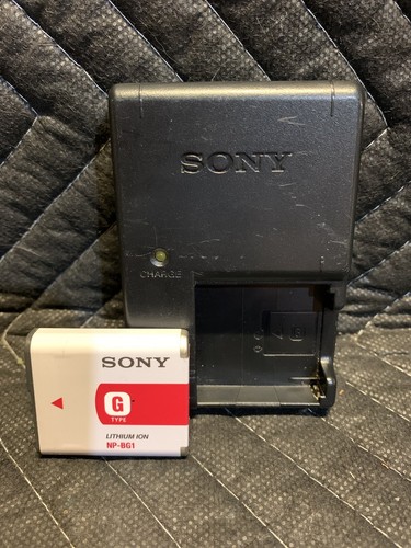 Genuine Sony Type G Lithium Ion 3 6v 3 4wh Battery Np Bg1 Charger Csgb Set Ebay