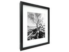 MCS 16x20 Solid Wood Art Frame Matted For 11x14 In Black (Same Shipping Any Qty)