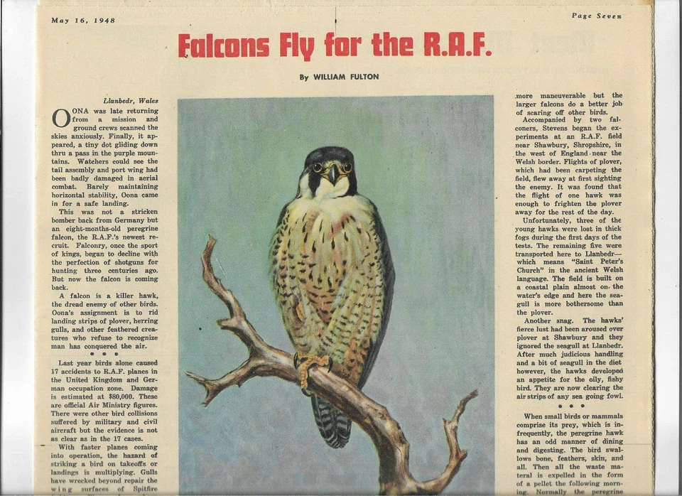 Chicago Grafic 1948 FREDERIC REMINGTON COVER FALCONS FLY FOR RAF beautiful ads - Image 4 of 4