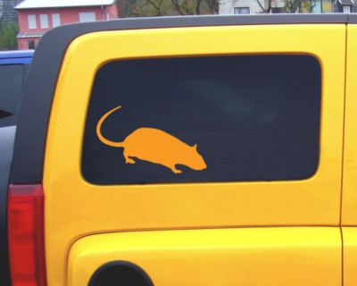 Ratte Tier Aufkleber Autoaufkleber Sticker für Auto Motorrad Wohnmobil Scheiben