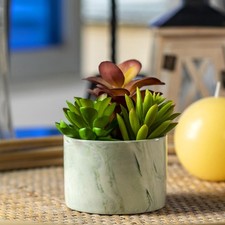 Artificial Plants Cute Colourful Succulents in Ceramic Planter Fake Colorful